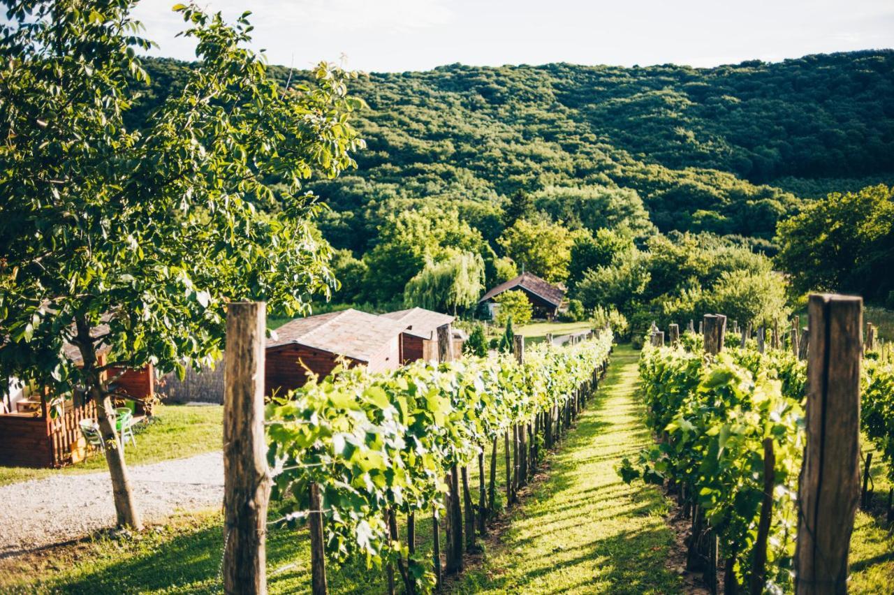 مبيت وإفطار Zalacsány Dutch Hill المظهر الخارجي الصورة