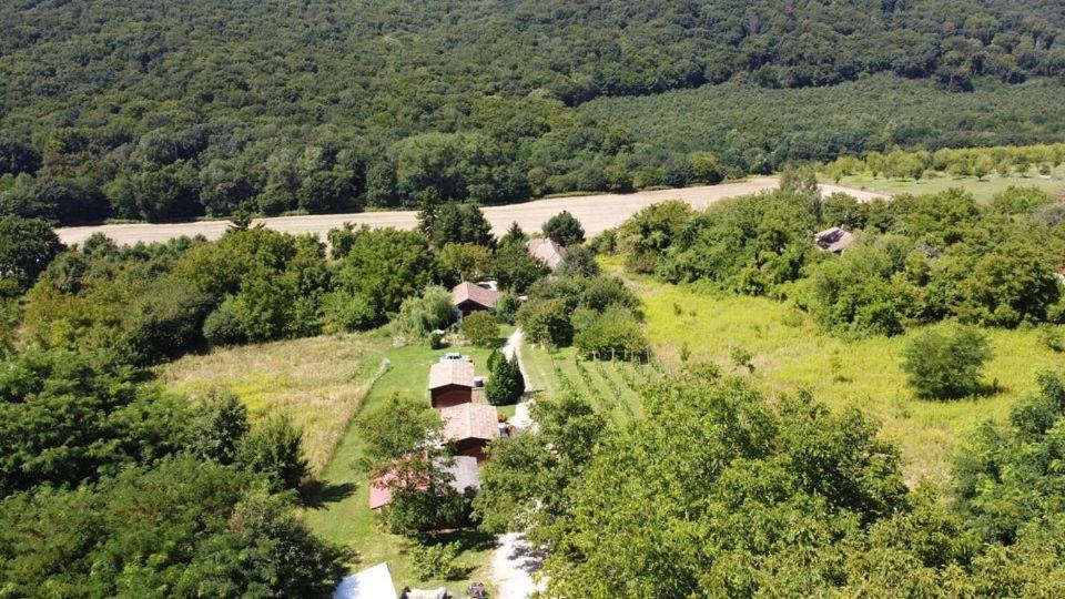 مبيت وإفطار Zalacsány Dutch Hill المظهر الخارجي الصورة
